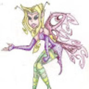 Meet your Posher, Bear